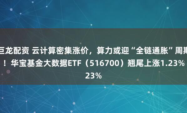 巨龙配资 云计算密集涨价，算力或迎“全链通胀”周期！华宝基金大数据ETF（516700）翘尾上涨1.23%